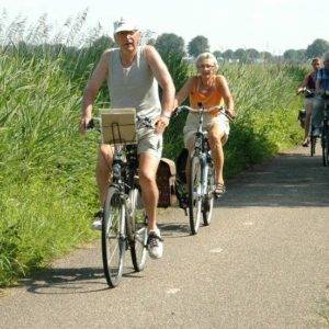 Volwassen deelnemers